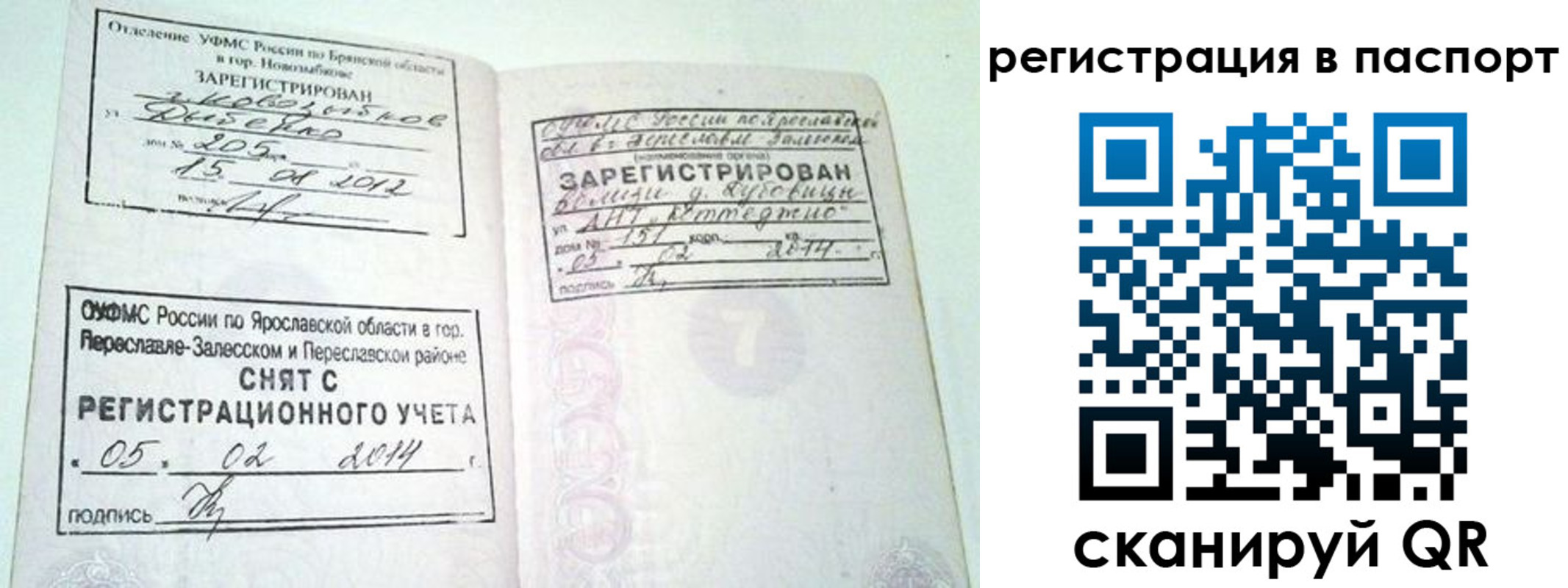 прописка в квартире в Белокурихе